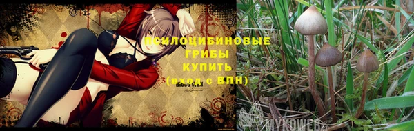 винт Вязьма