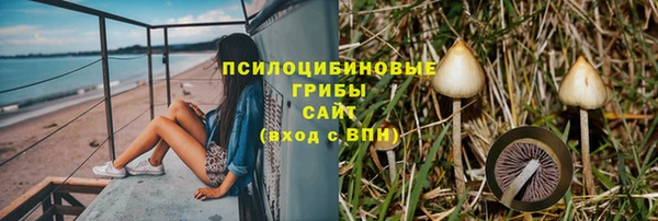 марки nbome Вяземский